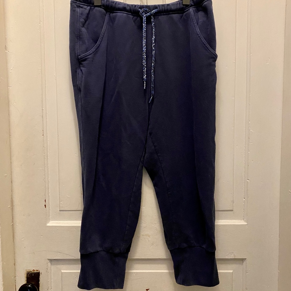 Free People Movement Jogger Pants in Navy Size M